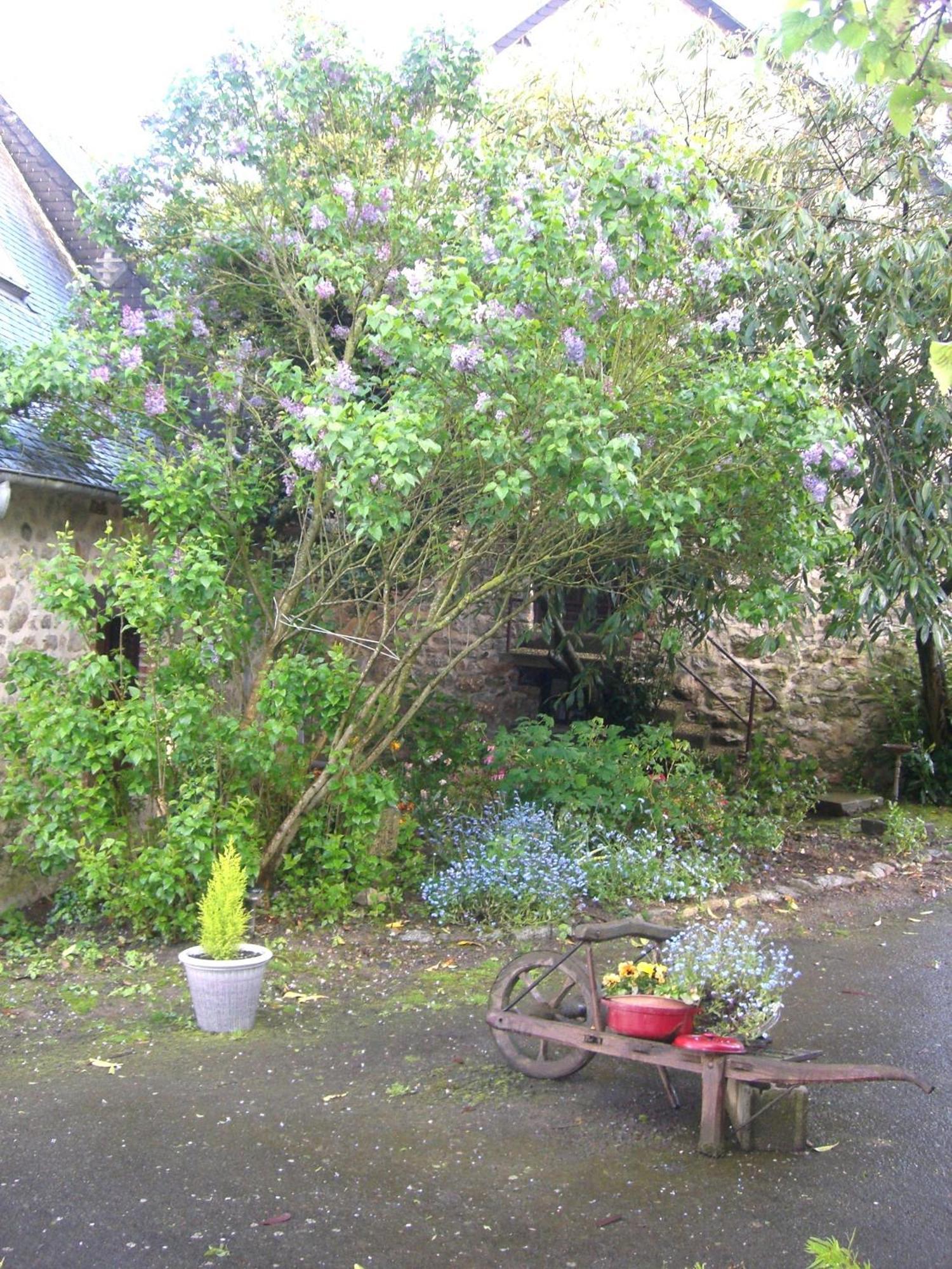 Chambres d'Hôtes de la Ferme Auberge de Mésauboin Billé Exterior foto